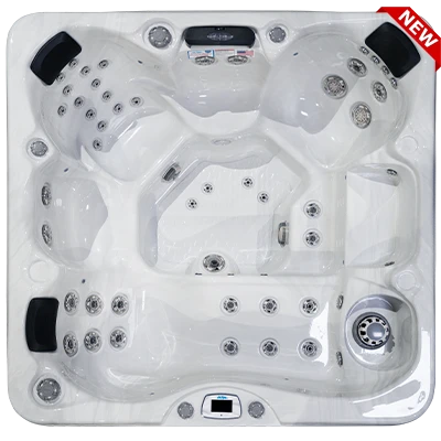 Costa-X EC-749LX hot tubs for sale in Appleton