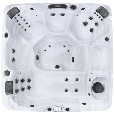 Avalon-X EC-840LX hot tubs for sale in Appleton