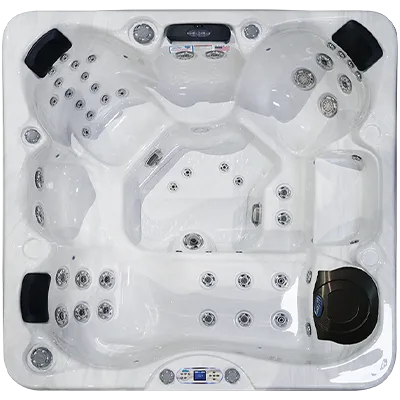 Avalon EC-849L hot tubs for sale in Appleton