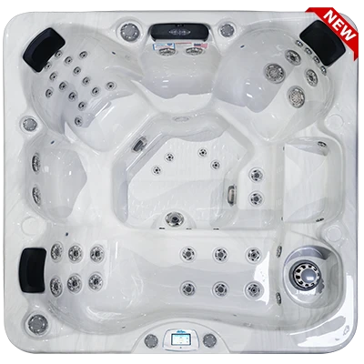 Avalon-X EC-849LX hot tubs for sale in Appleton