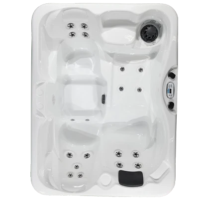 Kona PZ-519L hot tubs for sale in Appleton